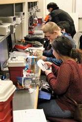 Students working in Engineering Lab